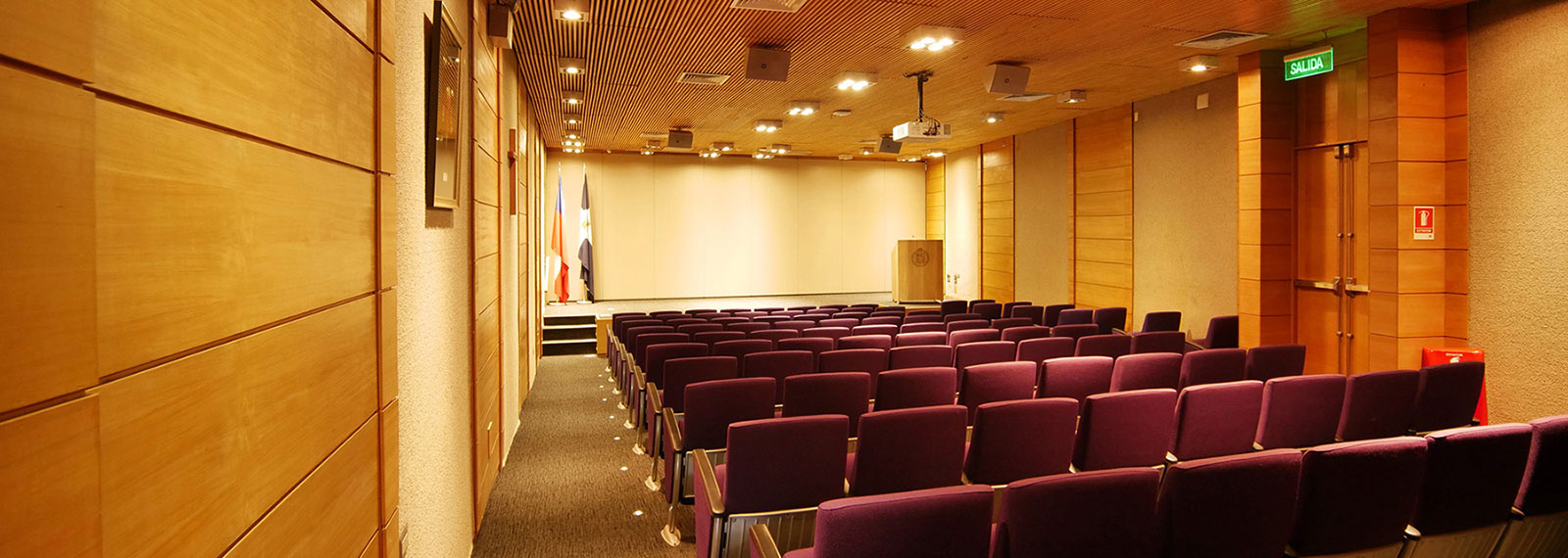 Auditorio Fernando Rosas